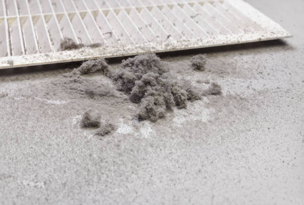 Best Ventilation Cleaning Services  in Wagner, SD