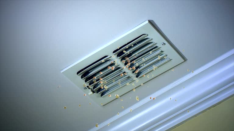 Best Best Air Duct Cleaning Company  in Wagner, SD