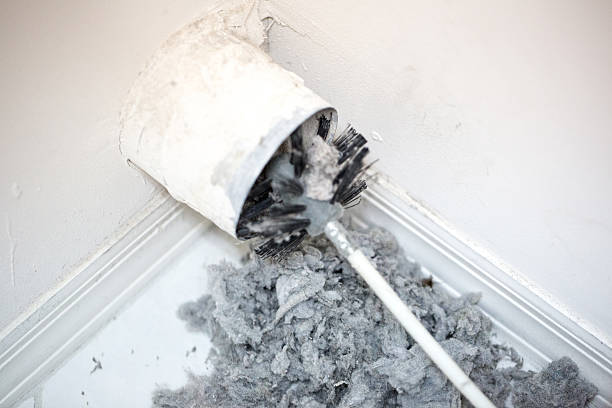Best Professional Duct Cleaning Services  in Wagner, SD