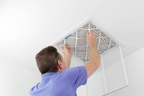 Best Air Vent Cleaning Services  in Wagner, SD